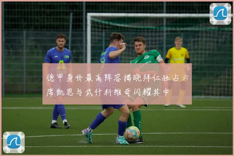德甲身价最高阵容揭晓拜仁独占六席凯恩与武什科维奇闪耀其中